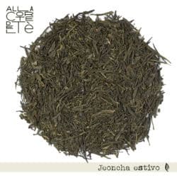 JEONCHA Estivo *