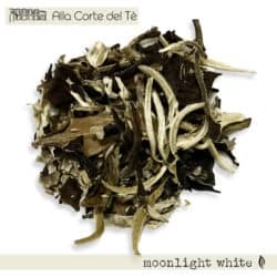 MOONLIGHT WHITE*