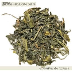 ENCOSTA DE BRUMA