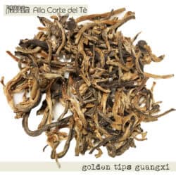 GOLDEN TIPS Guangxi