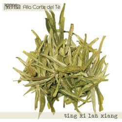 TING XI LAN XIANG