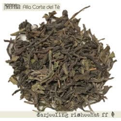DARJEELING RISHEEHAT FF*